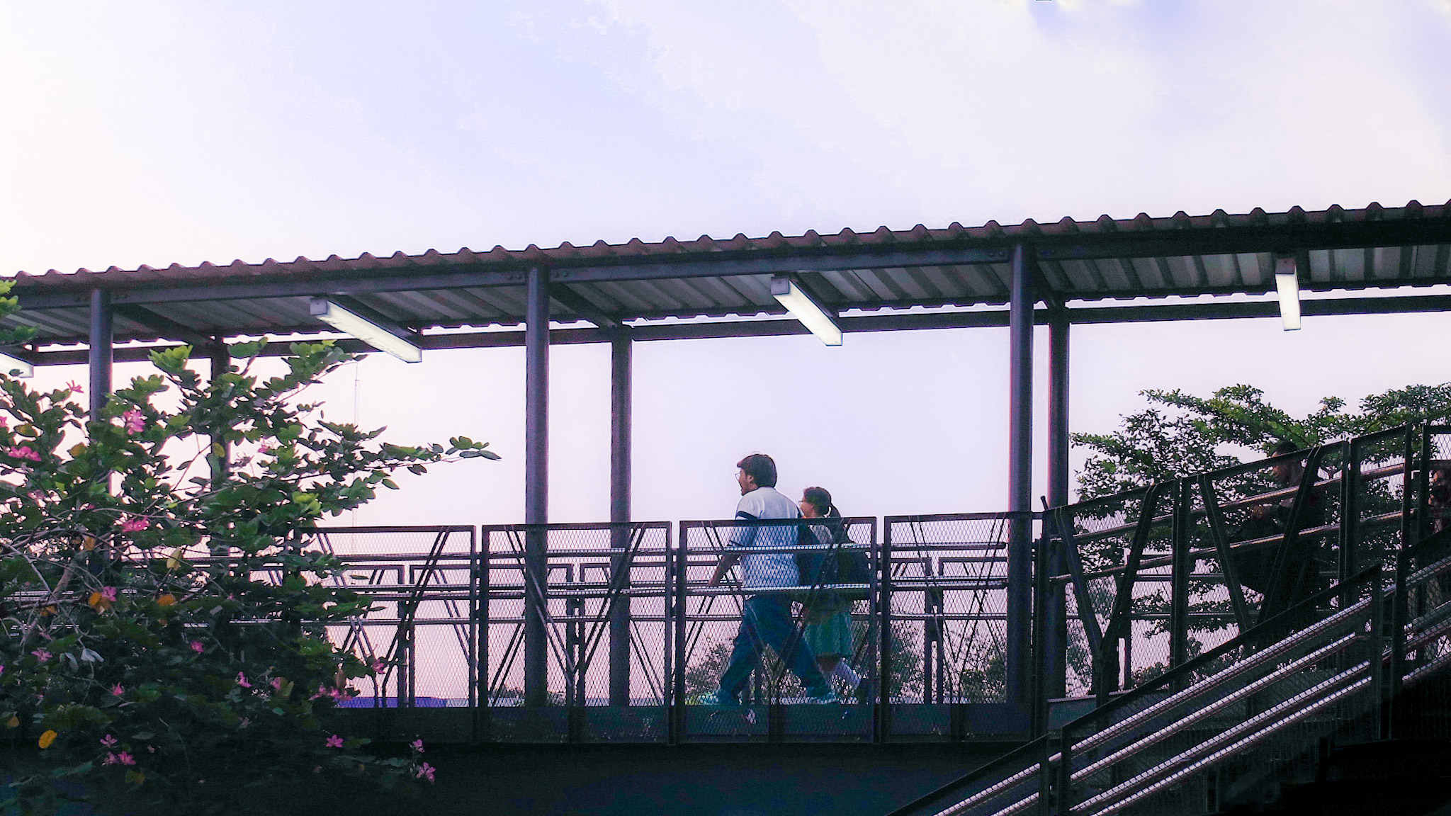 portrait photography